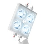 Модуль светодиодный ELF SOL+, 4SMD диод 2835, холодный белый
