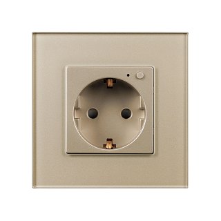 Розетка электрическая с Zigbee управлением SCT-OMALI-EUZB1-PL-GD (240V, 16A, Zigbee) (Arlight, -)