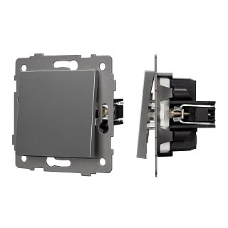 Механизм выключателя одноклавишный непроходной SWT-MK01-PL-GR-V (250V, 10A) (Arlight, -)