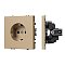 Механизм электрической розетки SCT-NOBE-MEU1-SFPL-GD (230V, 16A) (Arlight, Золотой песок)