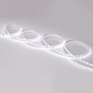 Светодиодная лента IC 2-30000 24V White6000 10mm (2835, 60 LED/m, LUX) (Arlight, 4.6 Вт/м, IP20)