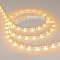 Светодиодная лента RZ 2-5000 12V Yellow 2x (5060, 240 LED, Wave) (Arlight, 11.5 Вт/м, IP20)