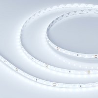 Светодиодная лента RT-A98-8mm 24V Cool 8K (10 W/m, IP20, 2835, 5m) (Arlight, 10 Вт/м, IP20)