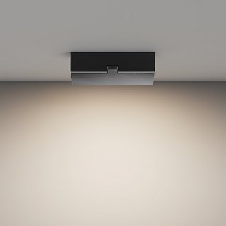 Потолочный светильник Basis Rot 4000K 12Вт 120°