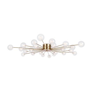 Потолочный светильник Freya FR5242CL-24BS1