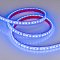 Светодиодная лента RTW 2-5000PGS 12V Blue 2x (3528, 600 LED) (Arlight, 9.6 Вт/м, IP67)