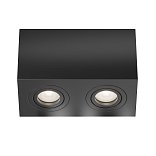 Потолочный светильник Atom GU10 2x10Вт