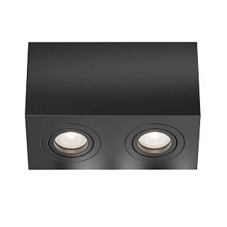 Потолочный светильник Atom GU10 2x10Вт