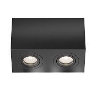 Потолочный светильник Atom GU10 2x10Вт