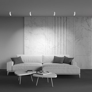 Потолочный светильник Dafne 3000K 1x10Вт 38°