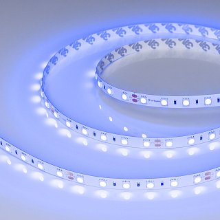 Светодиодная лента RT-B60-10mm 24V Blue (14.4 W/m, IP20, 5060, 5m) (Arlight, Открытый)