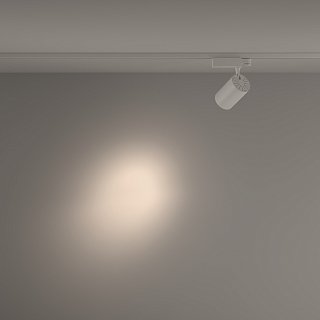 Трековый светильник Technical TR029-3-26W4K-S-W