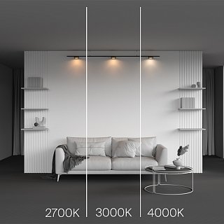 Трековый светильник Zon Levity 4000К 12Вт 100°