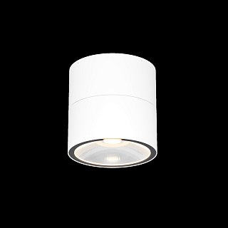 Потолочный светильник Spin 3000К 12Вт IP 54