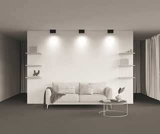 Потолочный светильник Atom GU10 2x10Вт