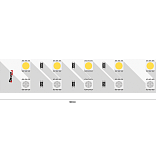 Светодиодная лента IP33 RGB + нейтральное белое свечение, DSG5120-24-RGB+NW-33