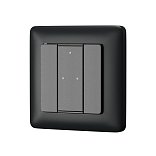 2-х кнопочная настенная панель DALI