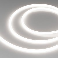 Светодиодная лента герметичная LUNA-X960-D8mm 24V Day5000 (8 W/m, IP65, 360deg, 5m) (Arlight, -)