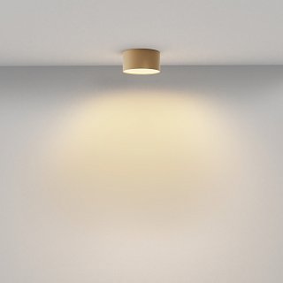 Потолочный светильник Zon 2700K 12Вт 120°