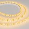 Светодиодная лента RTW 2-5000SE 12V Yellow 2x (3528, 600 LED, LUX) (Arlight, 9.6 Вт/м, IP65)