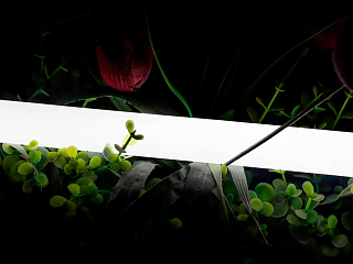 Нейтральный белый 24В IP66 16Вт/м 360 LED/м SMD2835 360° D25 SWG-2360-24-NW-66