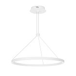 Светильник SP-CONGO-CAN-1-R600-36W Day4000 (WH, 120 deg, 230V) (Arlight, IP20 Металл, 5 лет)