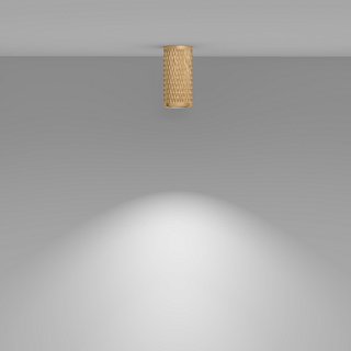 Потолочный светильник Focus Design GU10 1x10Вт