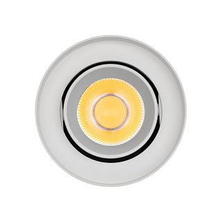 Светильник SP-FOCUS-R86-10W Day4000 (WH, 24 deg, 230V) (Arlight, IP54 Металл, 5 лет)