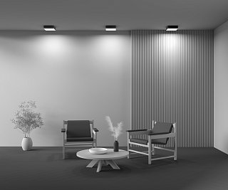 Потолочный светильник Zon 3000K 24W 120°