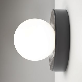 Настенный светильник (бра) Careless G9x1