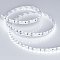 Светодиодная лента RS 2-5000 24V White6000 2x2 8mm (3014, 240 LED/m, LUX) (Arlight, 14.4 Вт/м, IP20)