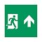 Пиктограмма EMGP-MARK-MA-UP (Человек, Вверх) (Arlight, Пластик)