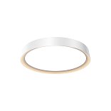 Потолочный светильник Incognito 2700-4000K 35Вт