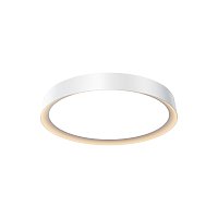 Потолочный светильник Incognito 2700-4000K 35Вт