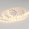 Светодиодная лента RTW 2-5000SE 12V Warm (3528, 300 LED, LUX) (Arlight, 4.8 Вт/м, IP65)