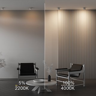 Встраиваемый светильник Onda 2200-4000K 12Вт 120°