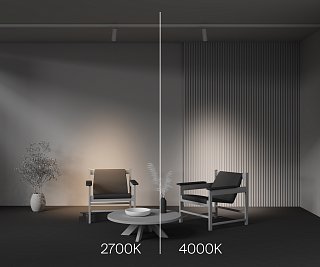 Трековый светильник Focus Zoom Trinity 2700K 20Вт 15-60°