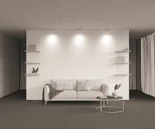 Потолочный светильник Atom GU10 2x10Вт