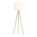 Напольный светильник (торшер) Freya FR5495FL-01W