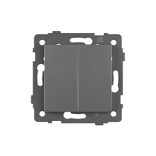 Механизм выключателя двухклавишный самовозвратный SWT-MKR2-PL-GR-V (250V, 10A) (Arlight, -)