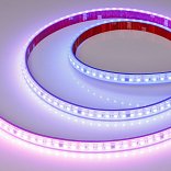 Светодиодная лента герметичная SPI-PS-A120-12mm 24V RGB-PX6-BPT (23 W/m, IP67, 2835, 5m) (Arlight, бегущий огонь)