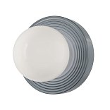 Настенный светильник (бра) Careless G9x1