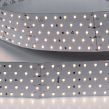 Светодиодная лента 31Вт 24В теплое свечение, DSG2350-24-WW-33