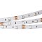 Светодиодная лента RT2-5050-30-12V RGB (150 LED) (NormaLED, 7.2 Вт/м, IP20)