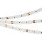 Светодиодная лента MICROLED-M120-8mm 24V Warm2700 (6.5 W/m, IP20, 2216, 5m) (Arlight, Открытый)