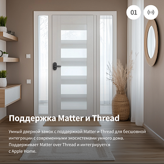 Умный замок U300 | Aqara Smart Lock U300, черный