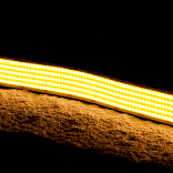 Тёплый белый 24В IP20 40Вт/м 1600 LED/м SWG-COB1600-24-40-WW