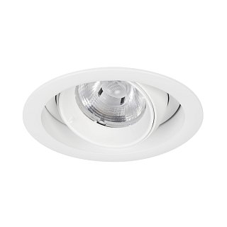 Светильник MS-VORTEX-BUILT-R110-20W Day4000 (WH-WH, 40 deg, 230V) (Arlight, IP20 Металл, 5 лет)
