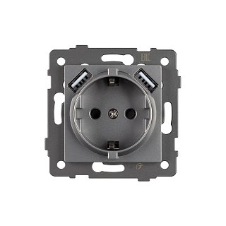 Механизм розетки с USB зарядкой SCT-MUAA-PL-GR-V (250V, 16A) (Arlight, -)