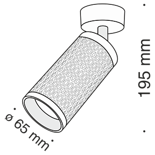 Потолочный светильник Focus Design GU10 1x10Вт